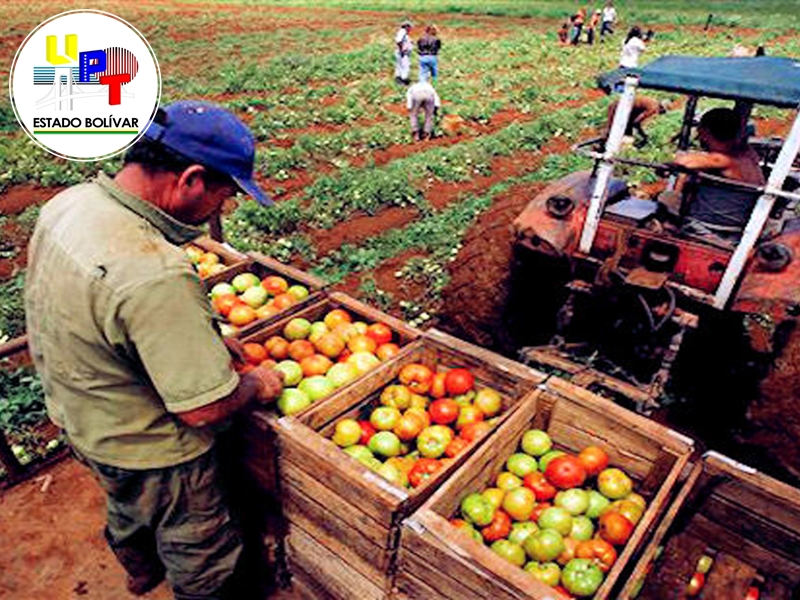Agroalimentación